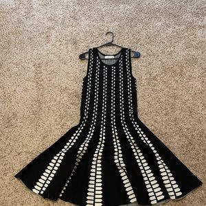 John and Jenn Fit and Flare Dress